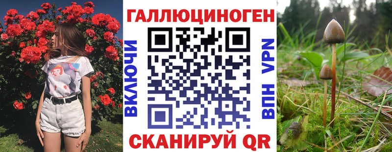 Галлюциногенные грибы Cubensis  Набережные Челны 