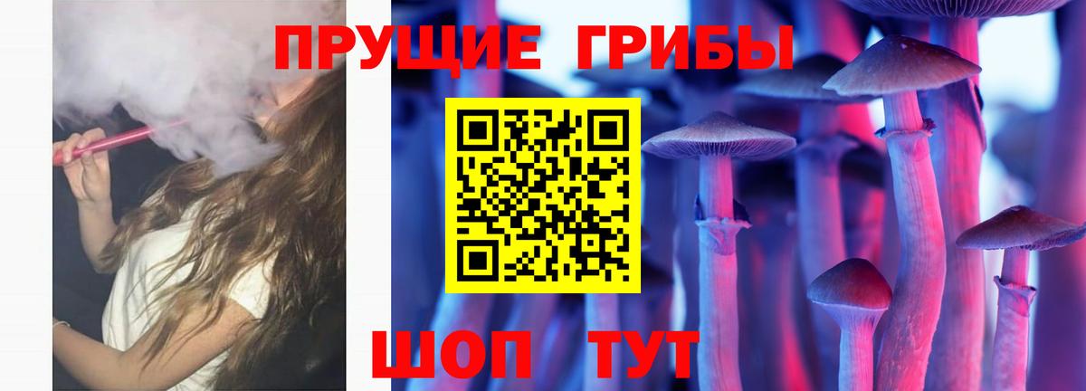 Галлюциногенные грибы Psilocybe  Вход с VPN  Набережные Челны  Галлюциногенные грибы Psilocybe 